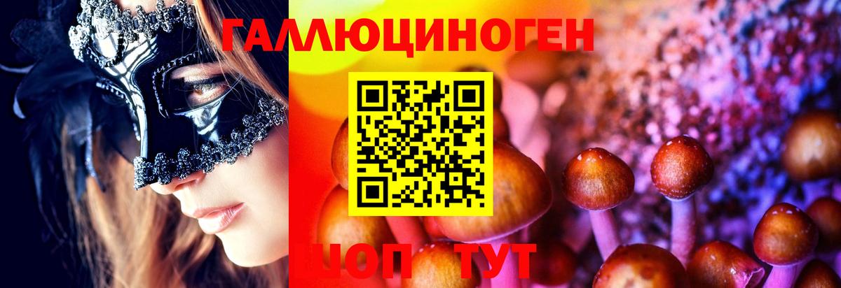 Псилоцибиновые грибы Cubensis Дальнегорск